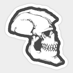 Sketch Punk Rock Skull Tattoo Style Design Drawing Graphic Sticker